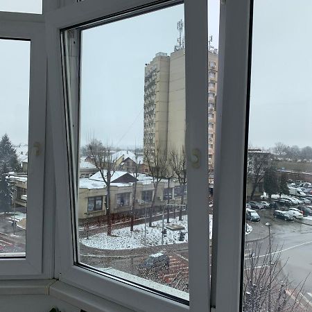 Apartament Viorela Алба-Юлія Екстер'єр фото